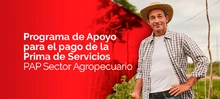 Programa de Apoyo para el pago de la Prima de Servicios PAP Sector Agro