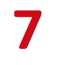 Paso 7