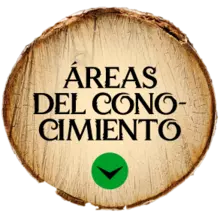 Áreas del conocimiento