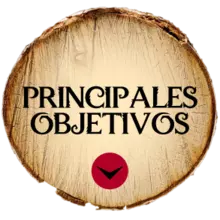 Principales objetivos