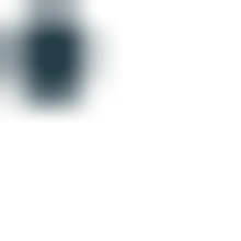 Fondo