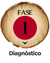 Fase 1