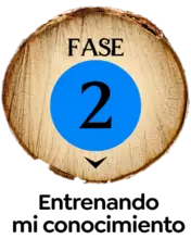 Fase 2