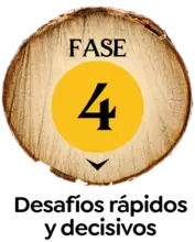 Fase 4