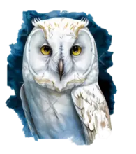 Lechuza
