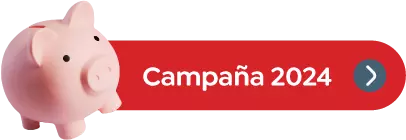 Campaña 2024