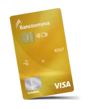 Visa Gold