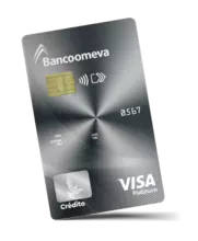 Visa Platinum