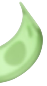 Decoración