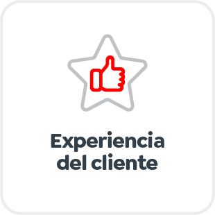Experiencia del cliente