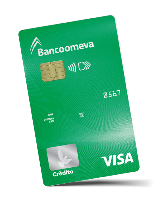 Visa Classic Visa Classic