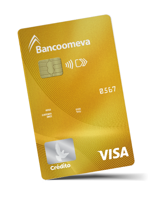 Visa Gold Visa Gold