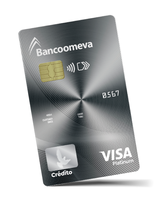 Visa Platinum