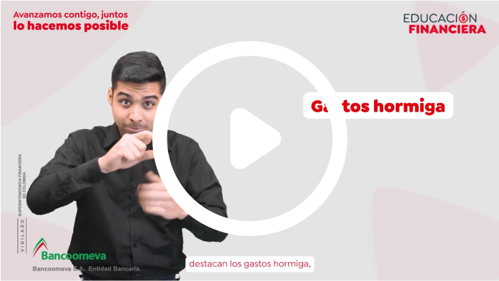 Gastos hormiga